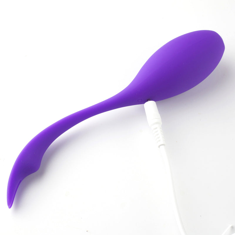 SYRENE Remote Control  Luxury USB Rechargeable Bullet Vibrator